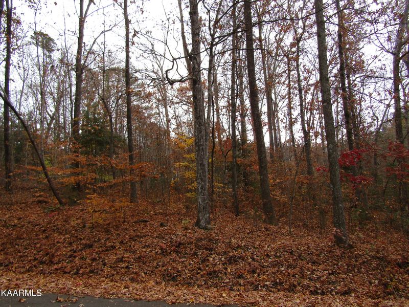 0 Lot 45 Peach Tree St, Sevierville, TN 37862