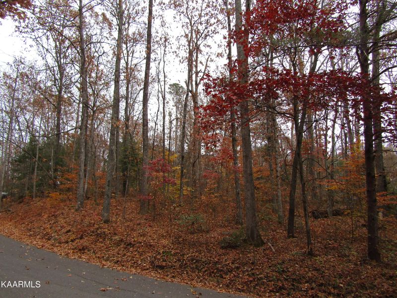 0 Lot 45 Peach Tree St, Sevierville, TN 37862