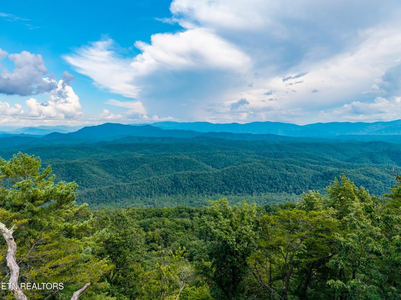 0 Lot 45 Tower Rd, Tallassee, TN 37878