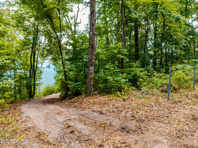 0 Lot 45 Tower Rd, Tallassee, TN 37878