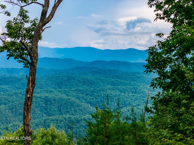 0 Lot 45 Tower Rd, Tallassee, TN 37878