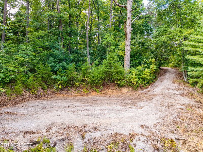 0 Lot 45 Tower Rd, Tallassee, TN 37878