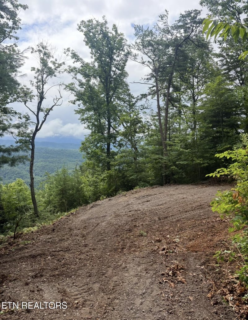 0 Lot 45 Tower Rd, Tallassee, TN 37878