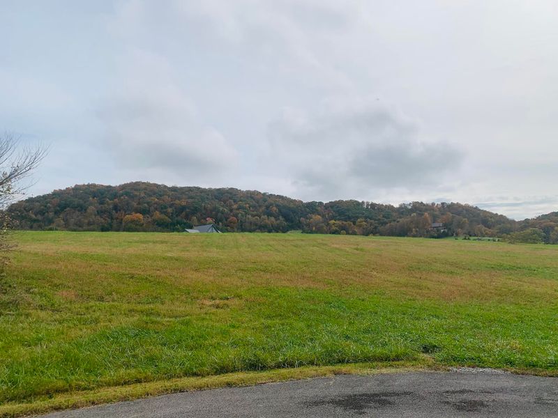 0 Lot 46 Sunny St, Sharps Chapel, TN 37866