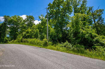 0 Lot 47 Horseshoebend, Speedwell, TN 37870