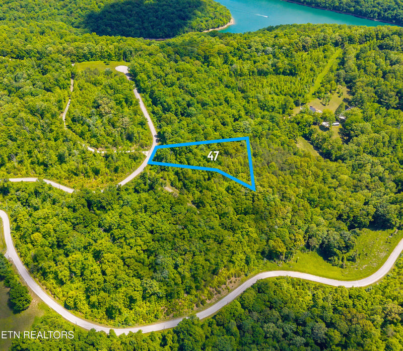 0 Lot 47 Horseshoebend, Speedwell, TN 37870