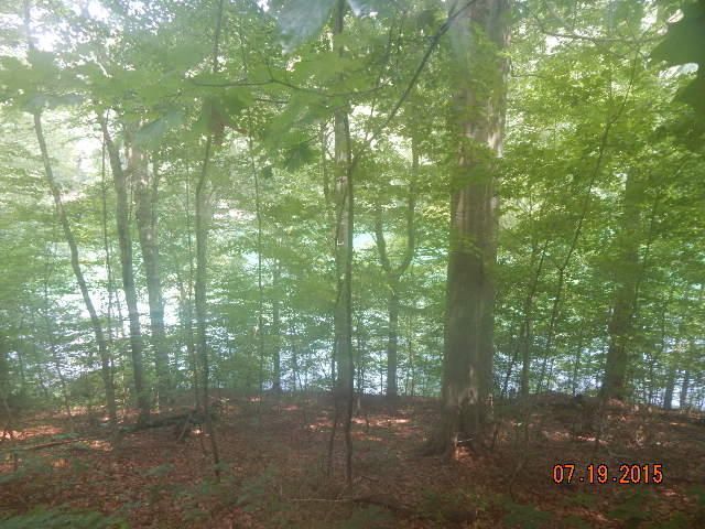 0 Lot 47 Jessee Rd, Maynardville, TN 37807
