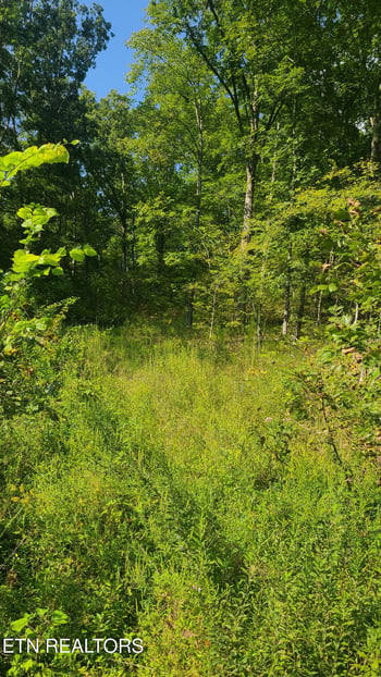 0 Lot 5 Mel Hall Rd, Maryville, TN 37803