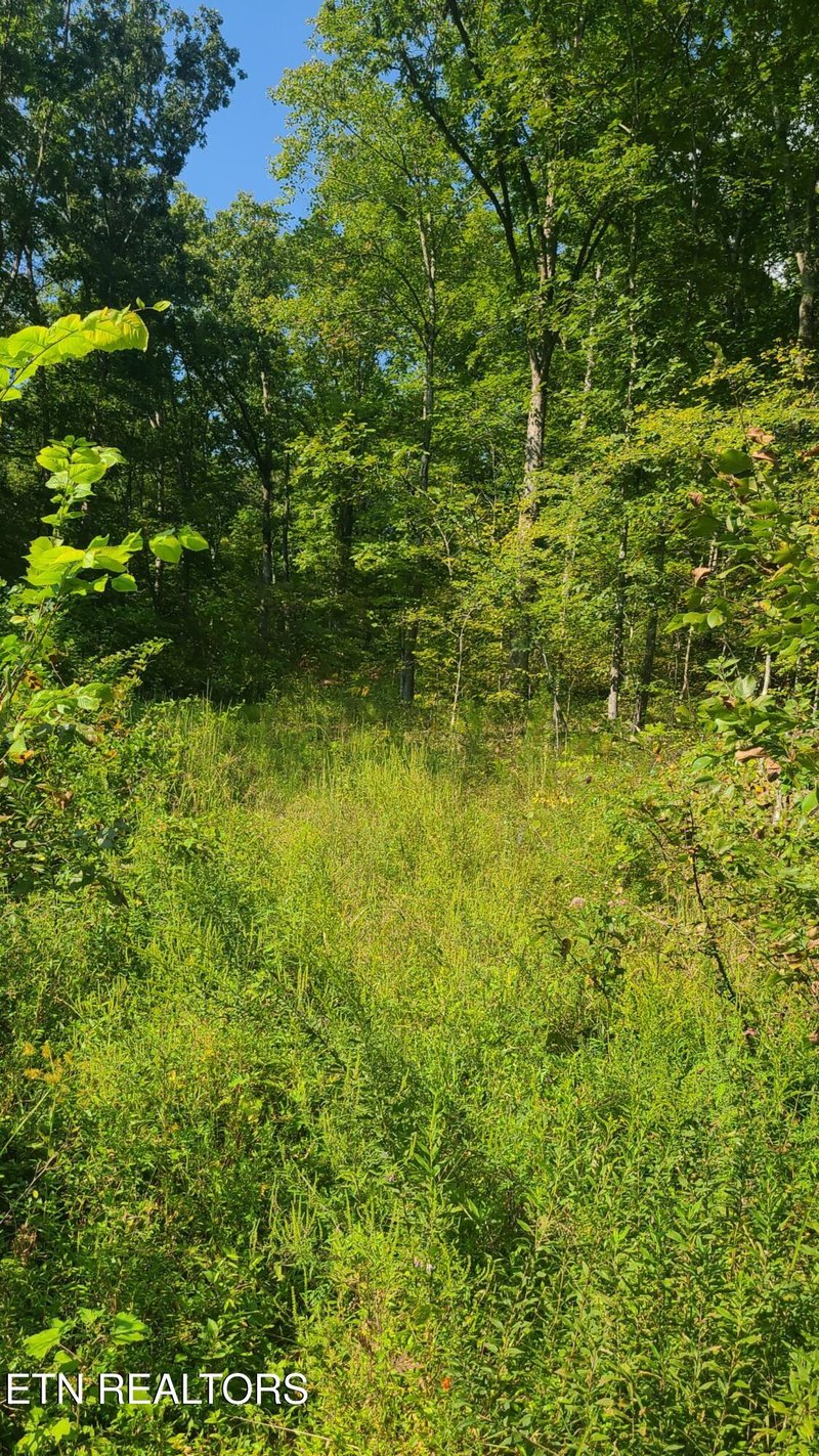0 Lot 5 Mel Hall Rd, Maryville, TN 37803