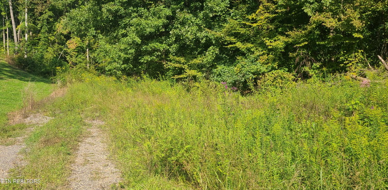 0 Lot 5 Mel Hall Rd, Maryville, TN 37803
