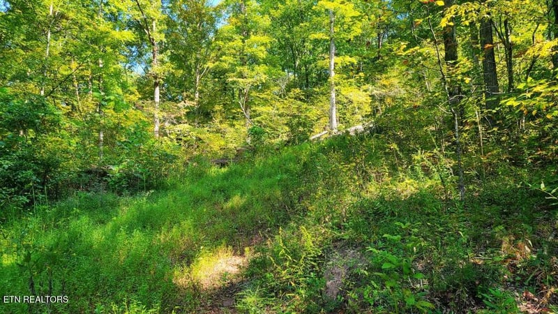 0 Lot 5 Mel Hall Rd, Maryville, TN 37803