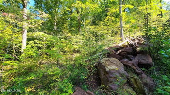 0 Lot 5 Mel Hall Rd, Maryville, TN 37803