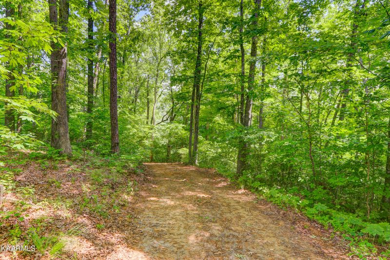 0 Lot 5 Norris Point, Washburn, TN 37888