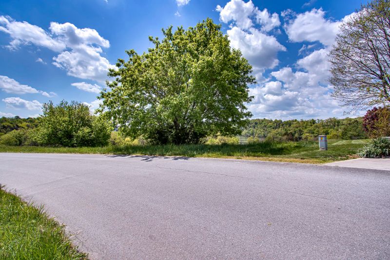 0 Lot 50 Marble Bluff Dr, Kingston, TN 37763