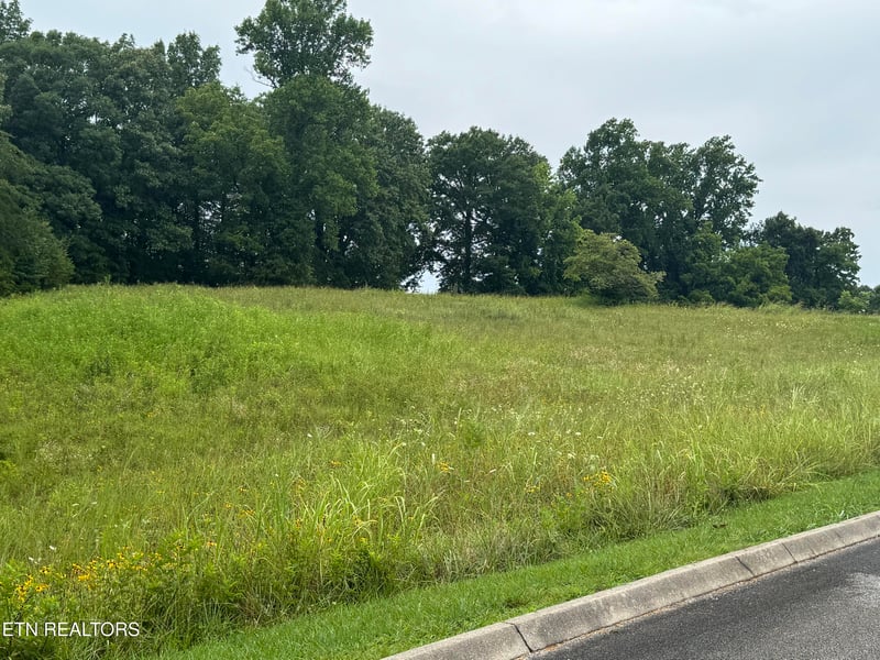 0 Lot 50 Melea Ln, Kingston, TN 37763