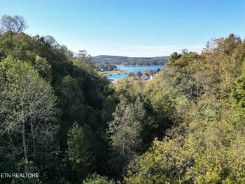 0 Lot 516a Russell Brothers Rd, Sharps Chapel, TN 37866