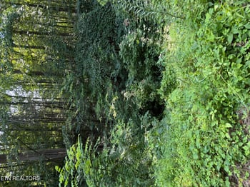 0 Lot 56 Butternut Ln, Sevierville, TN 37876
