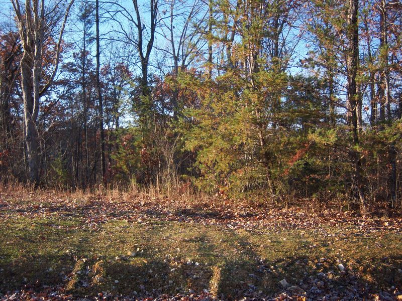 0 Lot 6 Flynns Cove Rd, Crossville, TN 38572