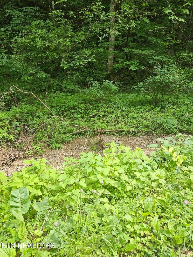 0 Lot 6 Hidden Hollow Way, Sevierville, TN 37862