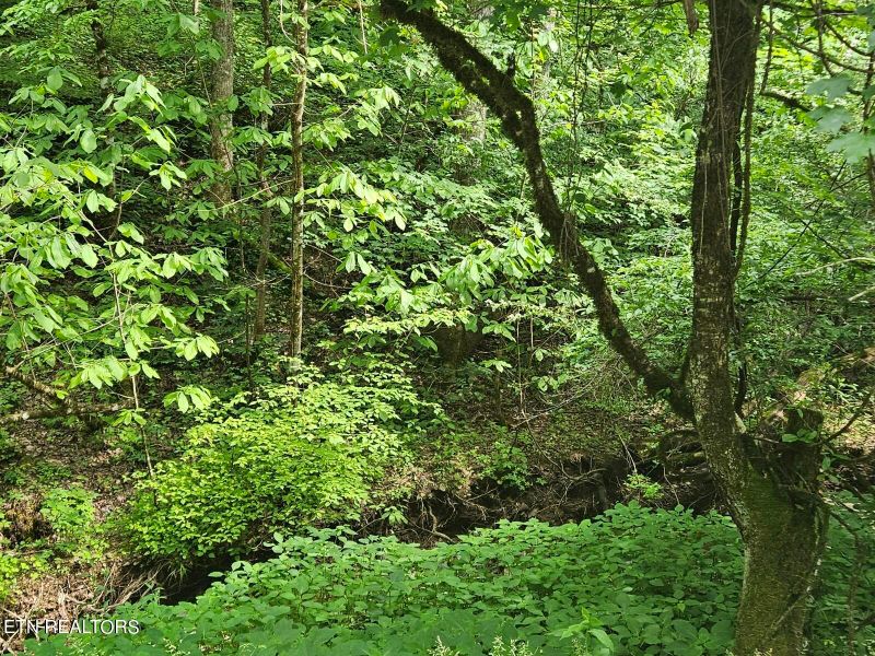 0 Lot 6 Hidden Hollow Way, Sevierville, TN 37862