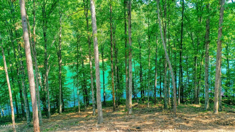 0 Lot 6 Shanghai Landing Ln, Lafollette, TN 37766
