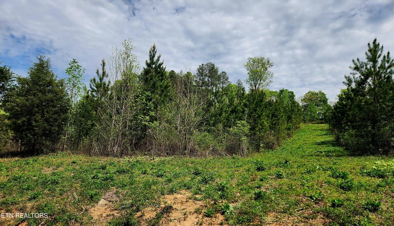 0 Lot 6 Winding Tr, Madisonville, TN 37354