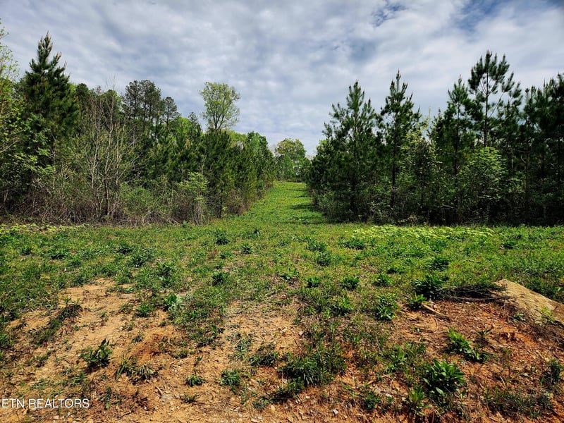 0 Lot 6 Winding Tr, Madisonville, TN 37354