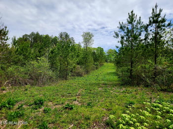 0 Lot 6 Winding Tr, Madisonville, TN 37354