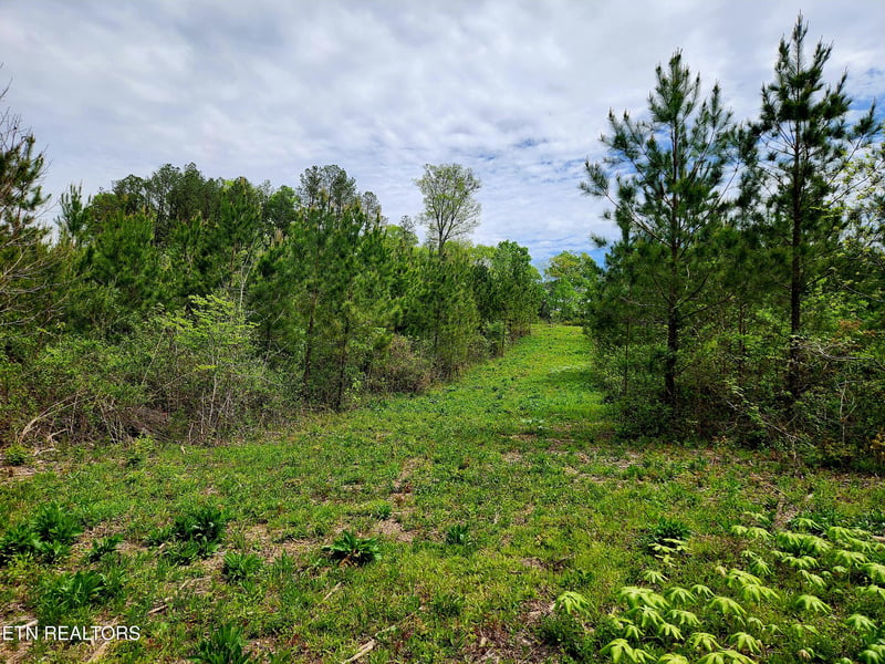 0 Lot 6 Winding Tr, Madisonville, TN 37354