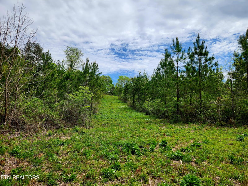 0 Lot 6 Winding Tr, Madisonville, TN 37354