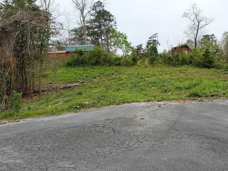 0 Lot 60 & 61 Red Cedar Way, Sevierville, TN 37876