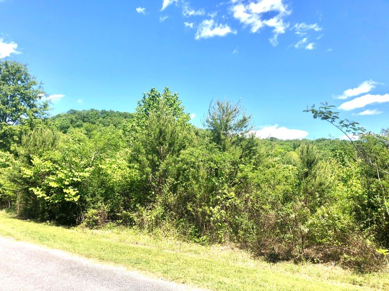 0 Lot 62 Dean E Dr, Ten Mile, TN 37880