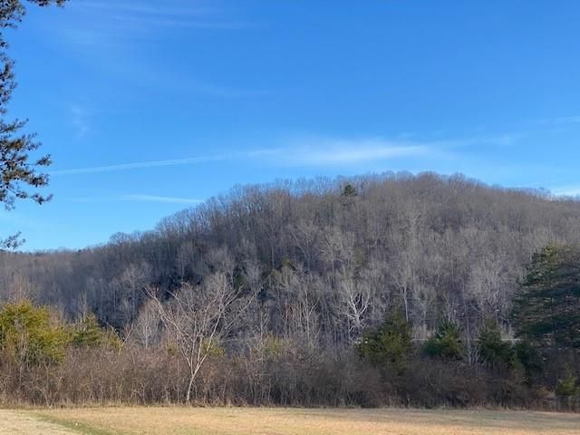 0 Lot 62 Dean E Dr, Ten Mile, TN 37880