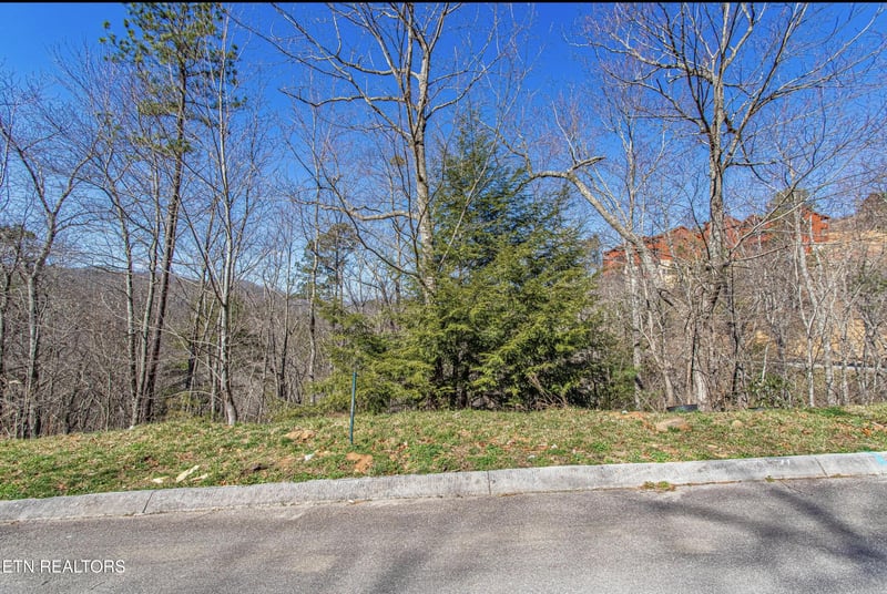 0 Lot #64 Smoky Ridge Way, Sevierville, TN 37862