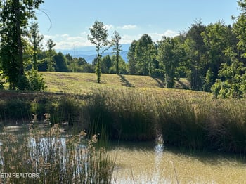 0 Lot 7 Curtis Rd, Tellico Plains, TN 37385