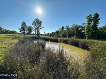 0 Lot 7 Curtis Rd, Tellico Plains, TN 37385