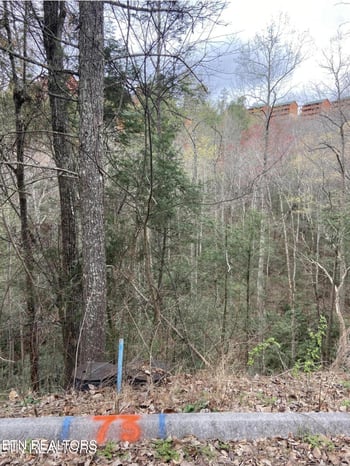 0 Lot #73 Smoky Ridge Way, Sevierville, TN 37862
