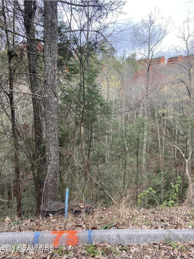 0 Lot #73 Smoky Ridge Way, Sevierville, TN 37862