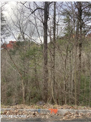 0 Lot #74 Smoky Ridge Way, Sevierville, TN 37862