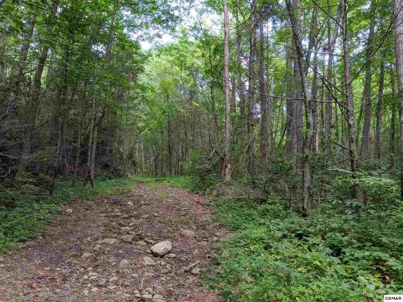 0 Lot 75 Big Sycamore St, Sevierville, TN 37862