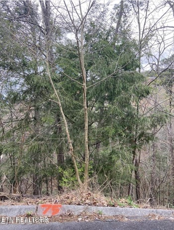 0 Lot #75 Smoky Ridge Way, Sevierville, TN 37862