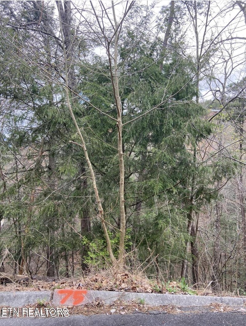 0 Lot #75 Smoky Ridge Way, Sevierville, TN 37862