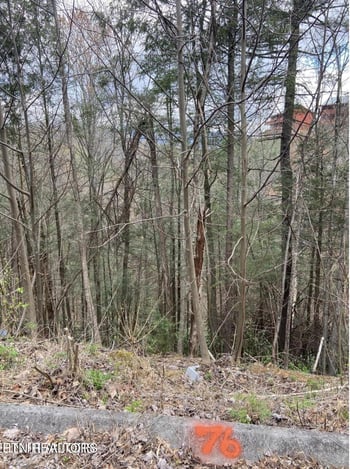 0 Lot #76 Smoky Ridge Way, Sevierville, TN 37862