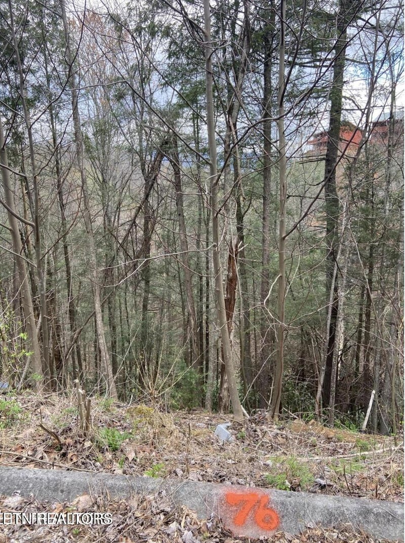 0 Lot #76 Smoky Ridge Way, Sevierville, TN 37862