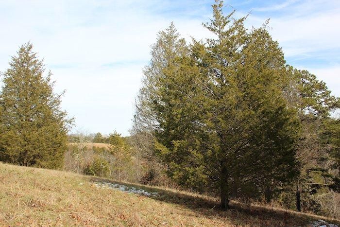 0 Lot 7b Brandon Ln, Sevierville, TN 37876