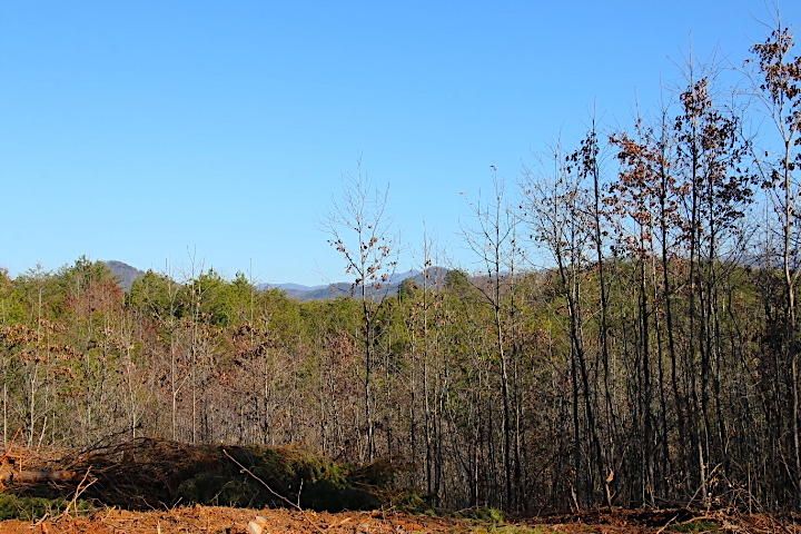 0 Lot 8 & 9 Curtis Rd, Tellico Plains, TN 37385
