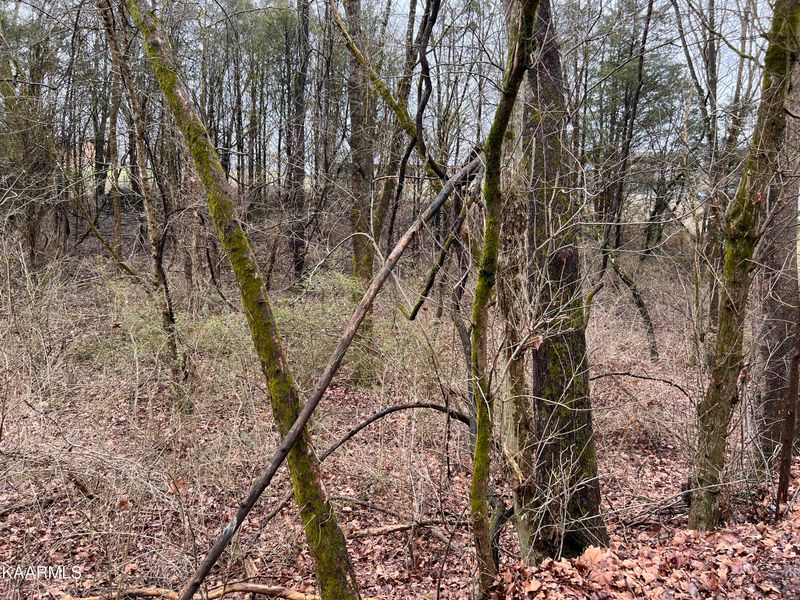 0 Lot 83 Delight Ln, Sevierville, TN 37876