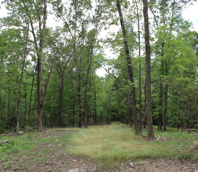 0 Lot #9 Buck Creek Rd, Kingston, TN 37763