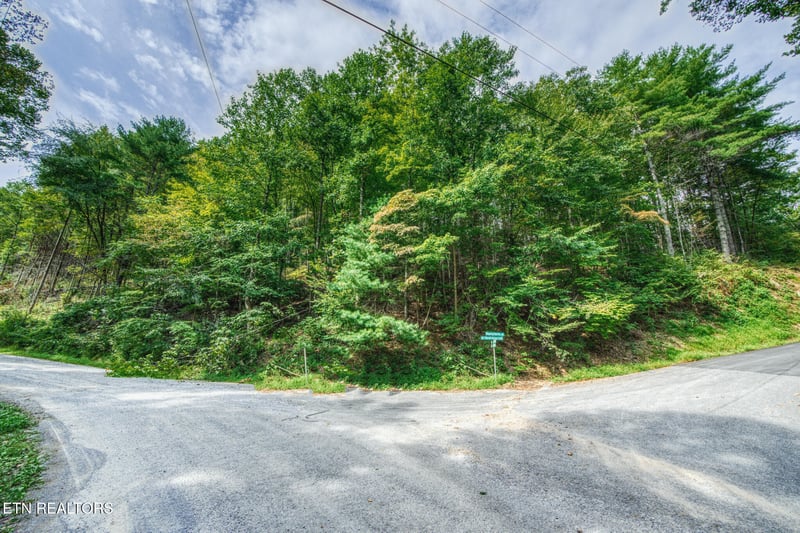 0 Lot 9 Stepping Stone Dr, Sevierville, TN 37862