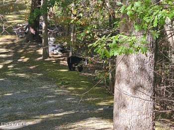 0 Lot 9 Stepping Stone Dr, Sevierville, TN 37862